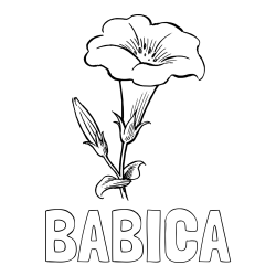 Online izdelana pobarvanka - Pobarvanka imena BABICA in pobarvanka rože Gamopetalous