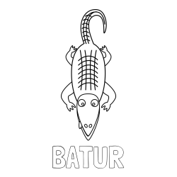Online izdelana pobarvanka - Pobarvanka imena BATUR in pobarvanka strašnega krokodila