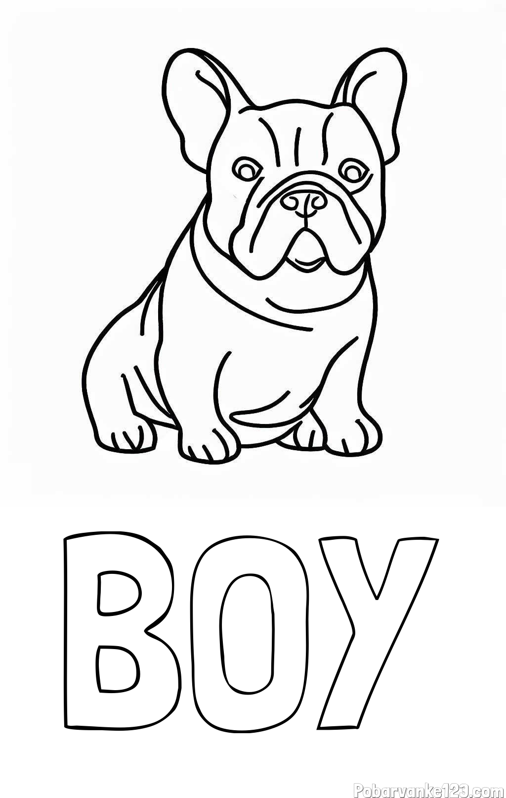 Pobarvanka imena BOY in pobarvanka francoskega buldoga