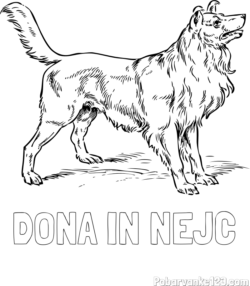 Pobarvanka imena DONA IN NEJC in pobarvanka prikupnega in prijaznega kužka