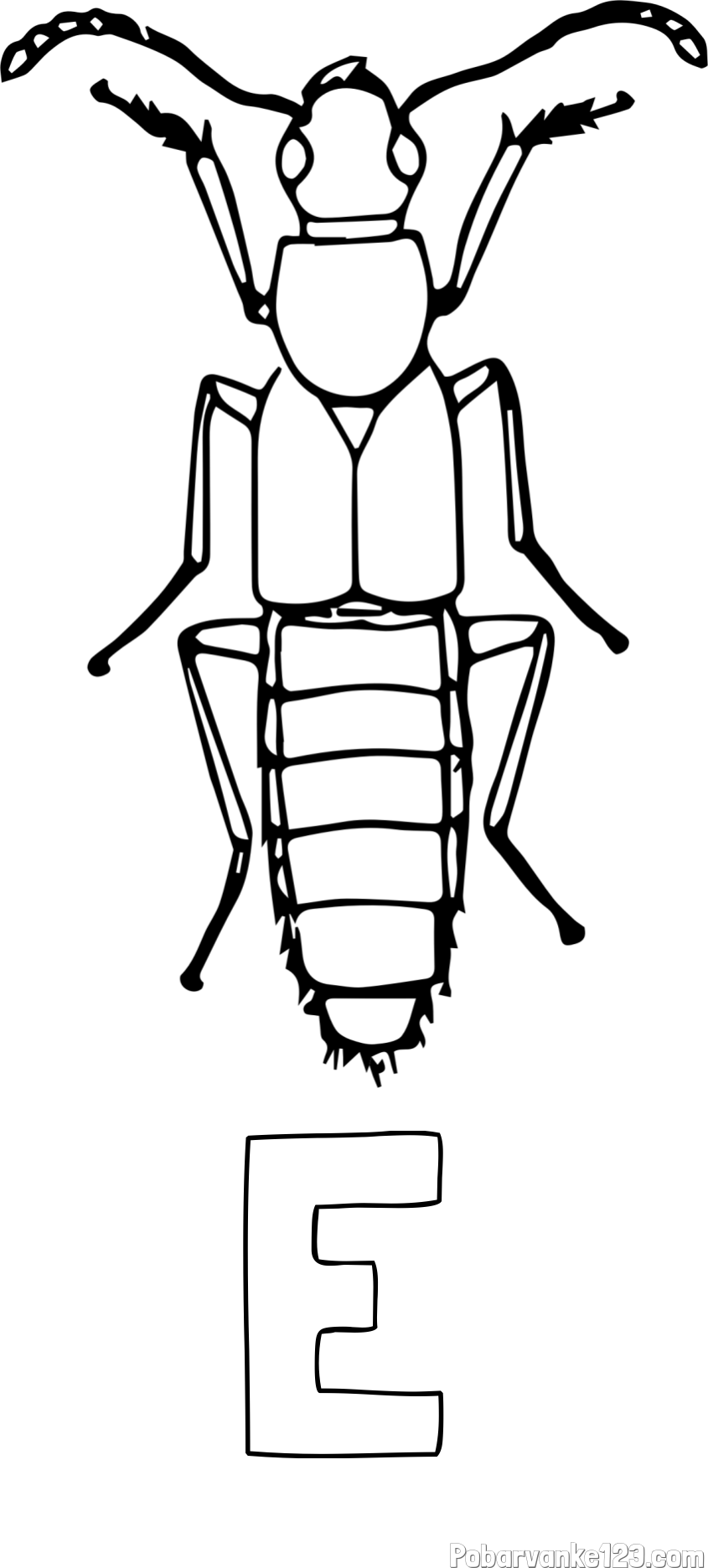 Pobarvanka imena E in pobarvanka žužka
