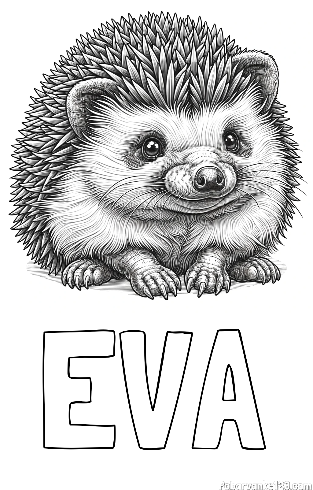 Pobarvanka imena EVA in pobarvanka ježa