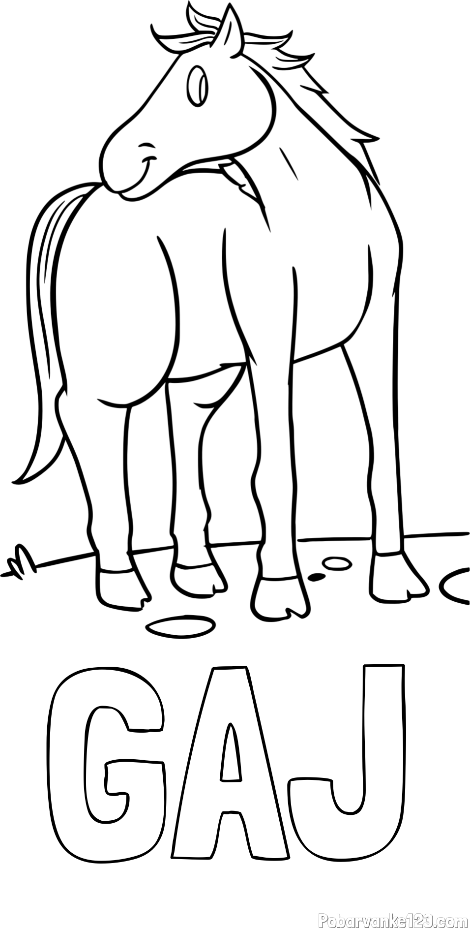 Pobarvanka imena GAJ in pobarvanka prikupnega konjička