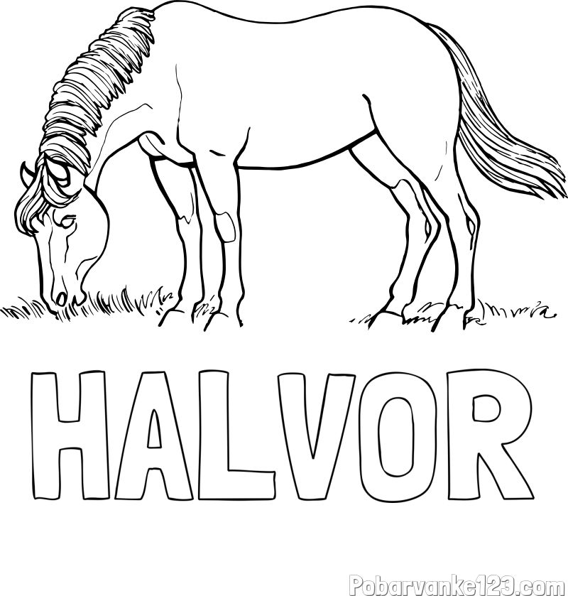 Pobarvanka imena HALVOR in pobarvanka konja med pašo