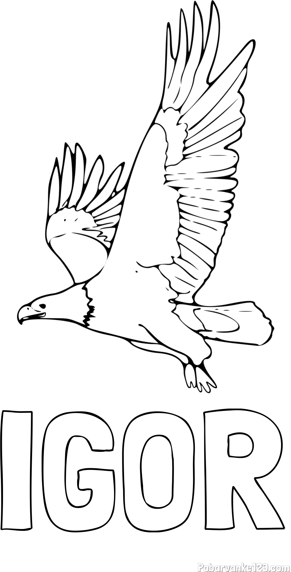 Pobarvanka imena IGOR in pobarvanka orla v letu