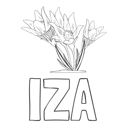 Online izdelana pobarvanka - Pobarvanka imena IZA in pobarvanka lepe rože