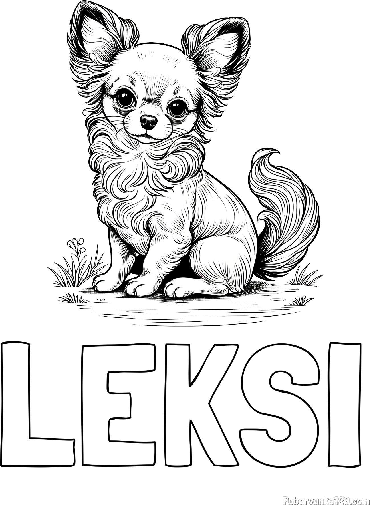 Pobarvanka imena LEKSI in pobarvanka ljubke čivave