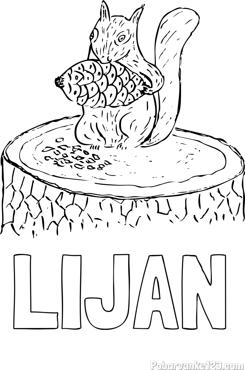 Pobarvanka imena LIJAN in pobarvanka veverice, ki je storž