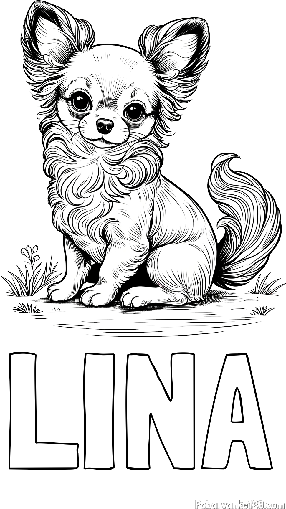 Pobarvanka imena LINA in pobarvanka ljubke čivave