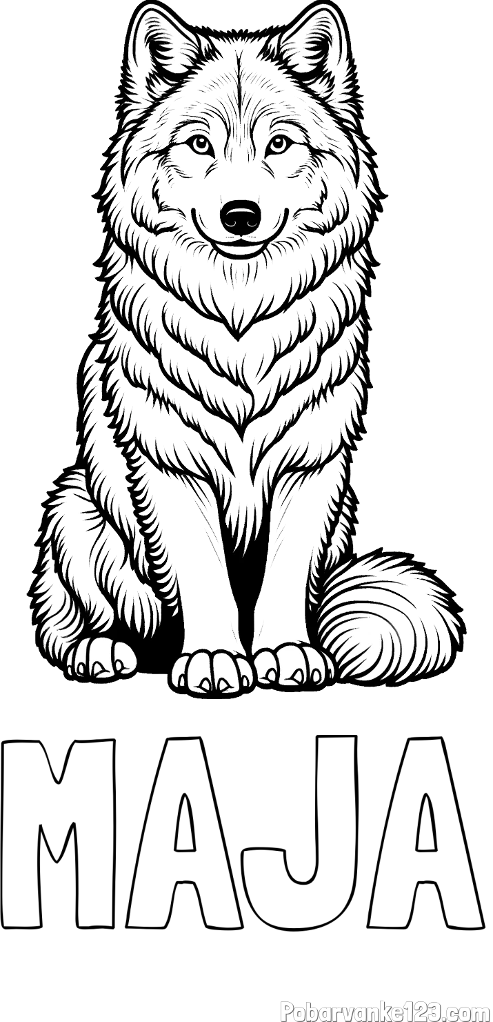 Pobarvanka imena MAJA in pobarvanka prijaznega volka