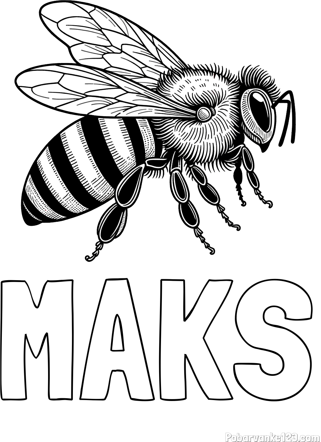 Pobarvanka imena MAKS in pobarvanka realistične čebele
