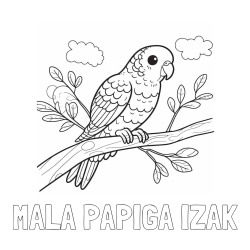 Online izdelana pobarvanka - Pobarvanka imena MALA PAPIGA IZAK in pobarvanka ljubkega kanarčka na veji