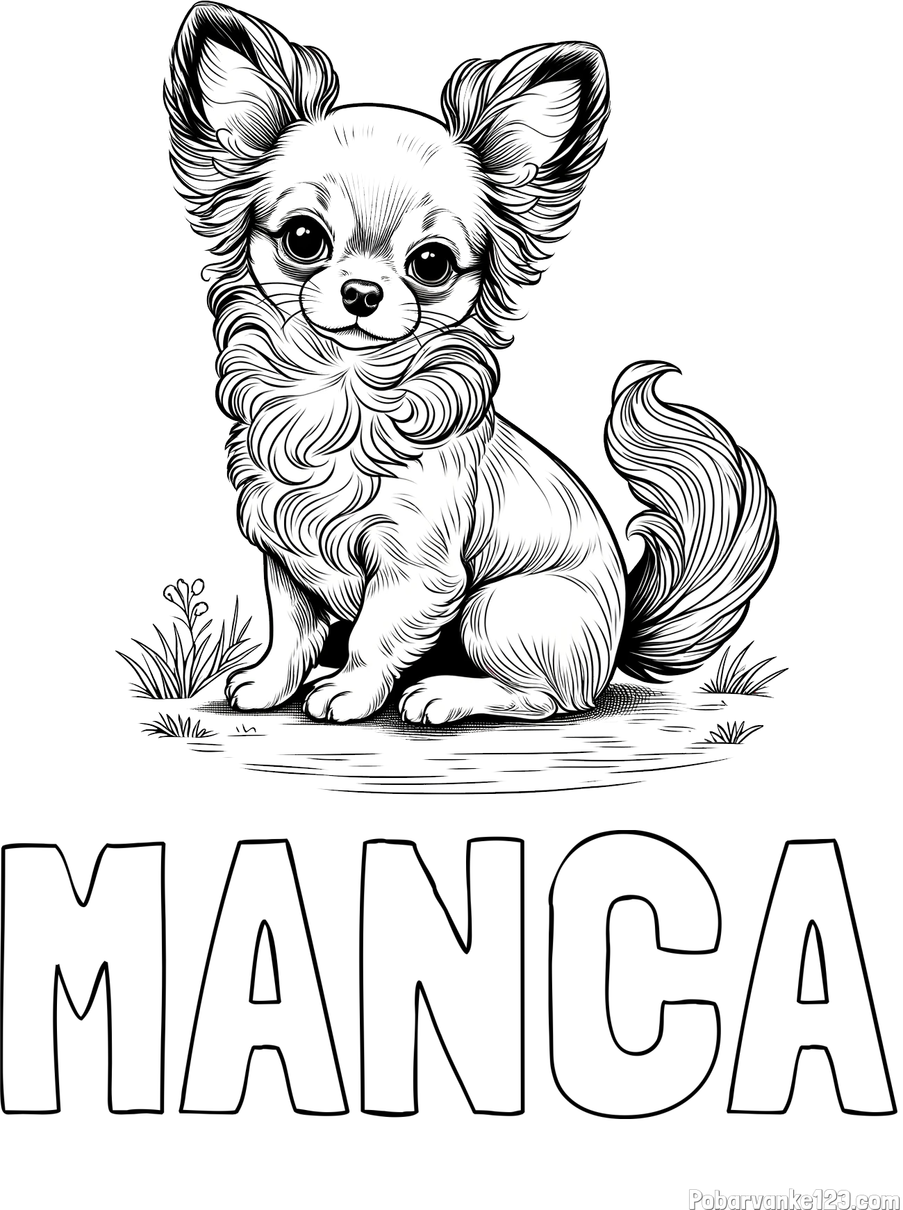 Pobarvanka imena MANCA in pobarvanka ljubke čivave