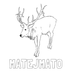Online izdelana pobarvanka - Pobarvanka imena MATEJ-MATO in pobarvanka velikega jelena