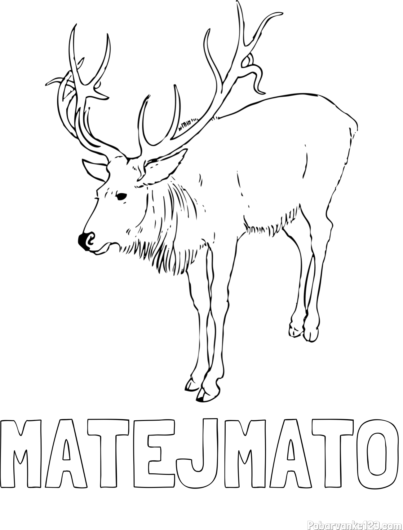 Pobarvanka imena MATEJ-MATO in pobarvanka velikega jelena