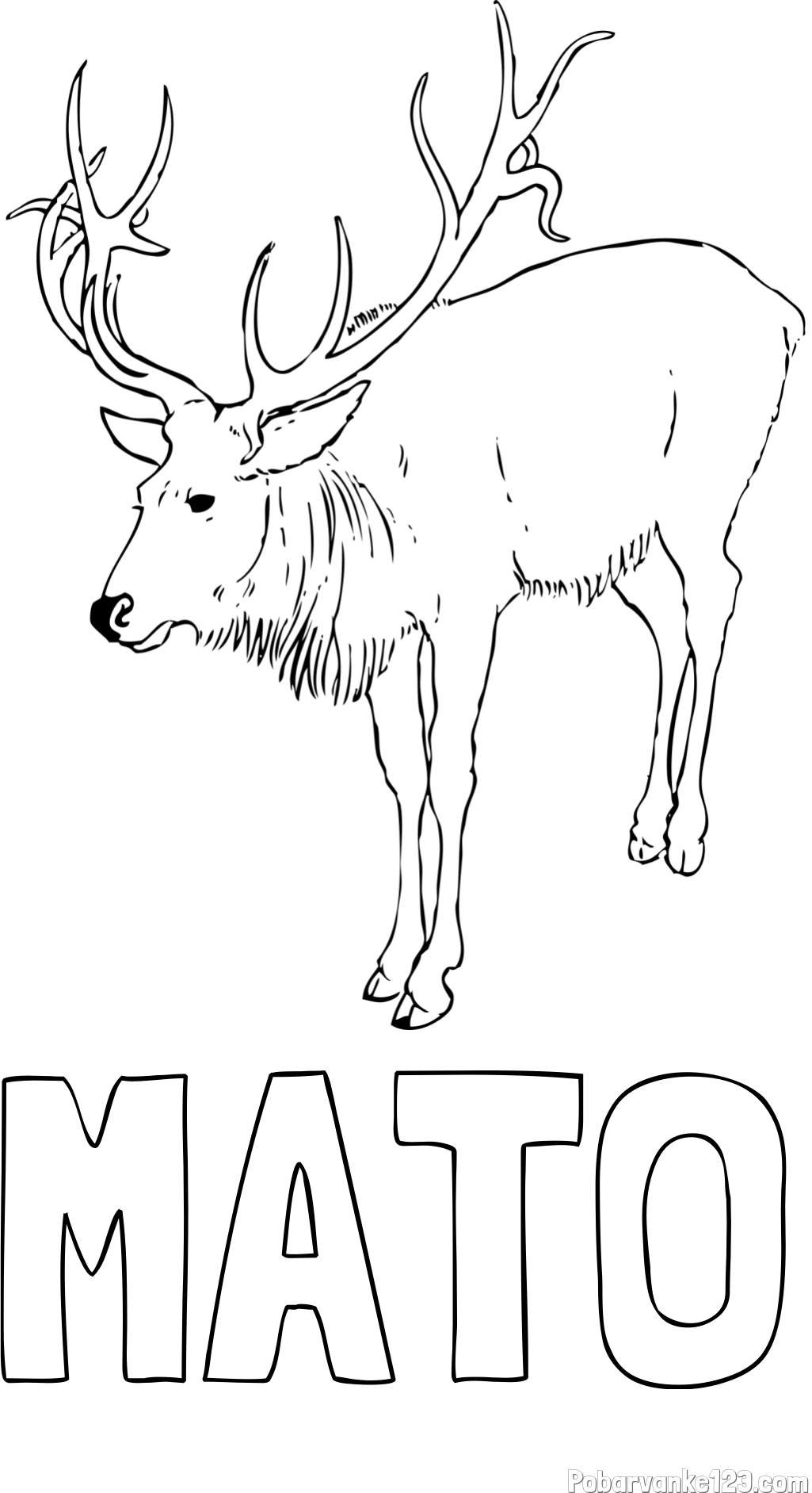 Pobarvanka imena MATO in pobarvanka velikega jelena