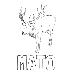 Online izdelana pobarvanka - Pobarvanka imena MATO in pobarvanka velikega jelena