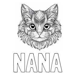 Online izdelana pobarvanka - Pobarvanka imena NANA in pobarvanka mačke