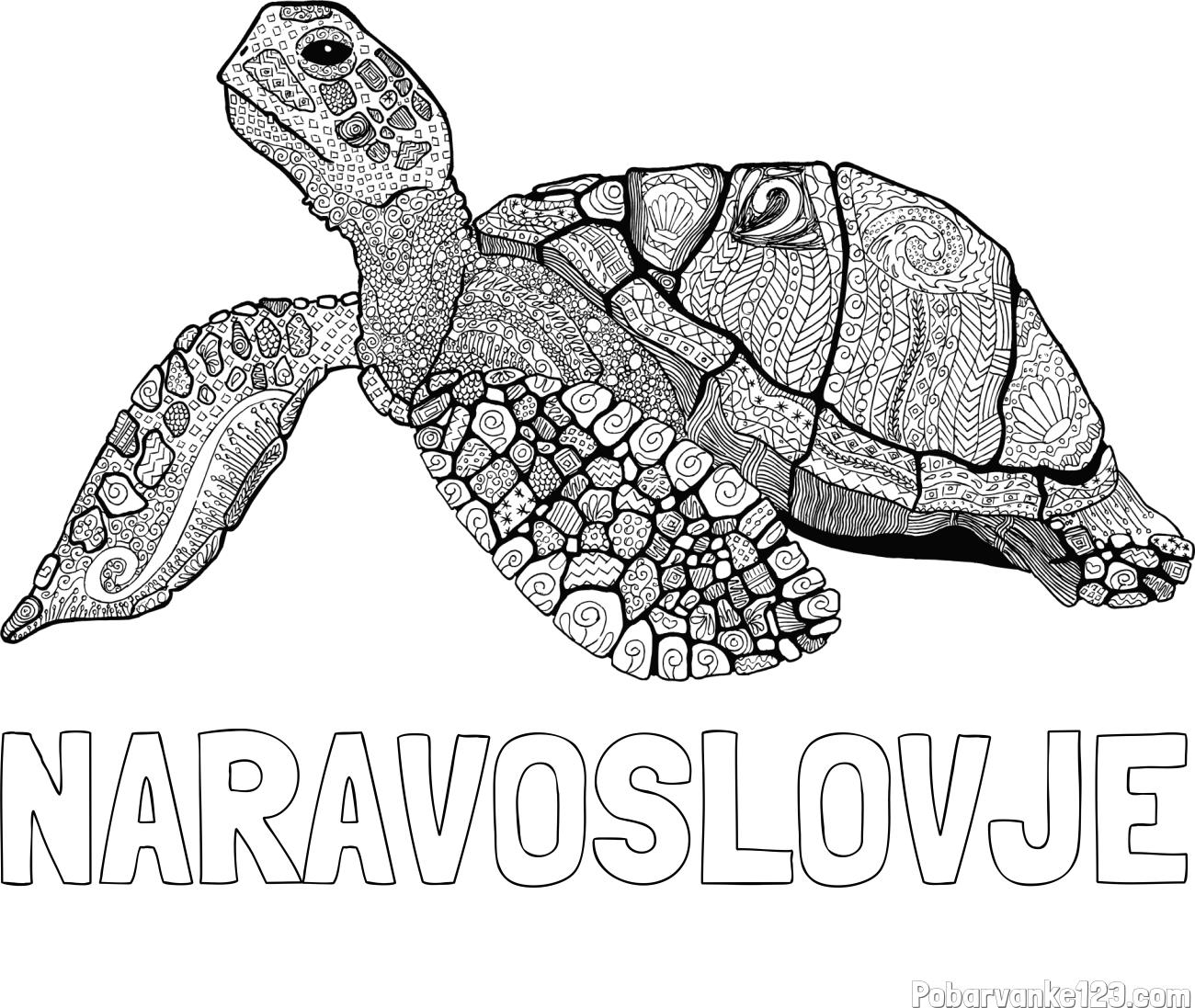 Pobarvanka imena NARAVOSLOVJE in pobarvanka velike želve - mandale