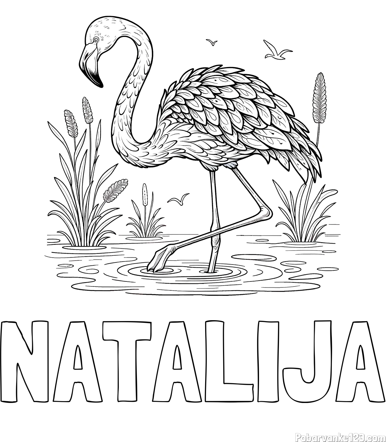 Pobarvanka imena NATALIJA in pobarvanka flaminga v močvirju