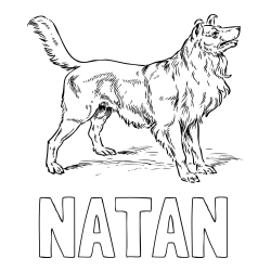 Online izdelana pobarvanka - Pobarvanka imena NATAN in pobarvanka prikupnega in prijaznega kužka