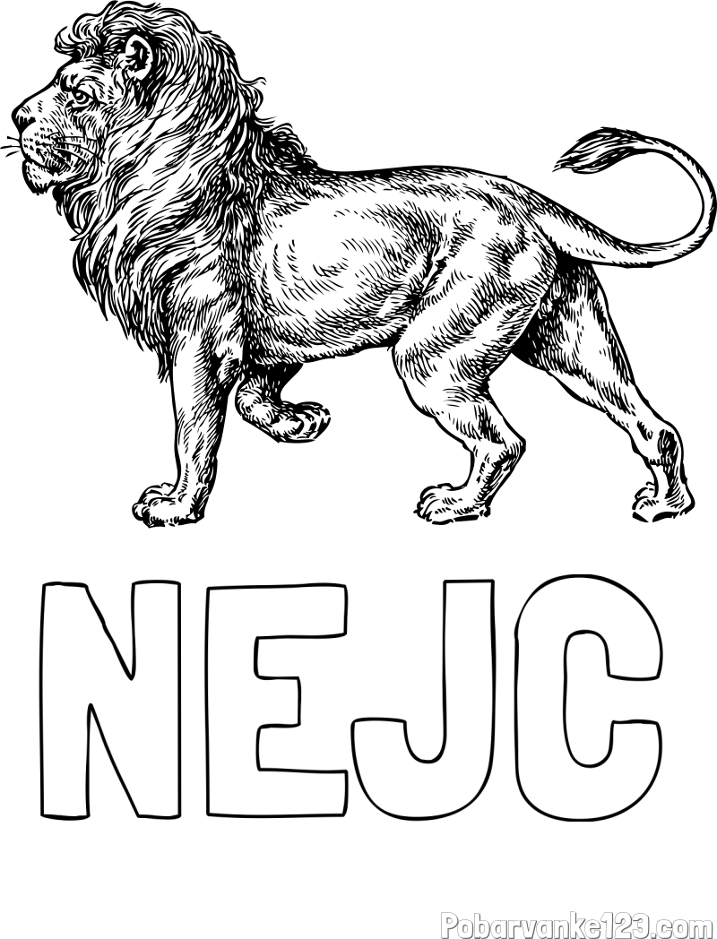 Pobarvanka imena NEJC in pobarvanka leva