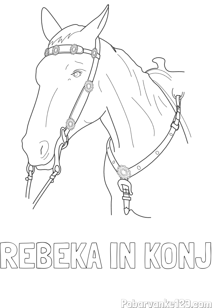 Pobarvanka imena REBEKA IN KONJ in pobarvanka konjske glave