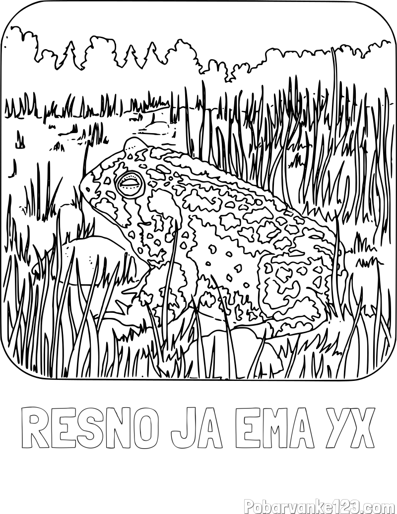 Pobarvanka imena RESNO JA EMA YX in pobarvanka žabe