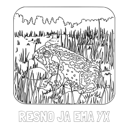 Online izdelana pobarvanka - Pobarvanka imena RESNO JA EMA YX in pobarvanka žabe