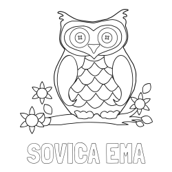 Online izdelana pobarvanka - Pobarvanka imena SOVICA EMA in pobarvanka sove
