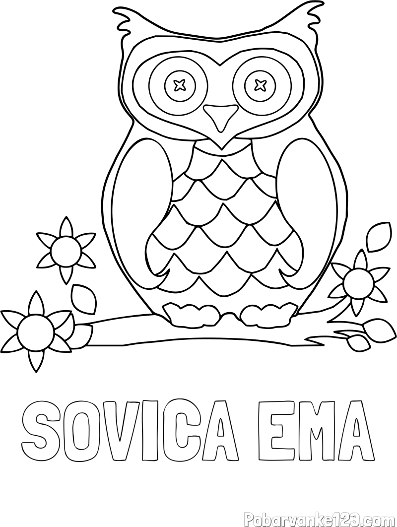 Pobarvanka imena SOVICA EMA in pobarvanka sove