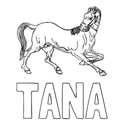 Online izdelana pobarvanka - Pobarvanka imena TANA in pobarvanka prikupno razigranega konja