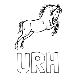 Online izdelana pobarvanka - Pobarvanka imena URH in pobarvanka konja v skoku