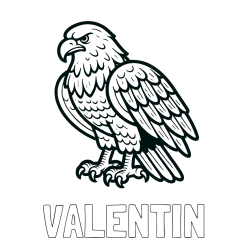 Online izdelana pobarvanka - Pobarvanka imena VALENTIN in pobarvanka orla