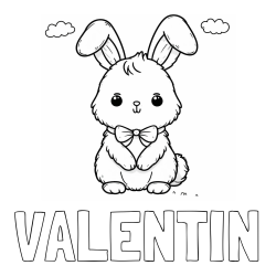 Online izdelana pobarvanka - Pobarvanka imena VALENTIN in pobarvanka prikupnega zajčka