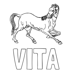 Online izdelana pobarvanka - Pobarvanka imena VITA in pobarvanka prikupno razigranega konja