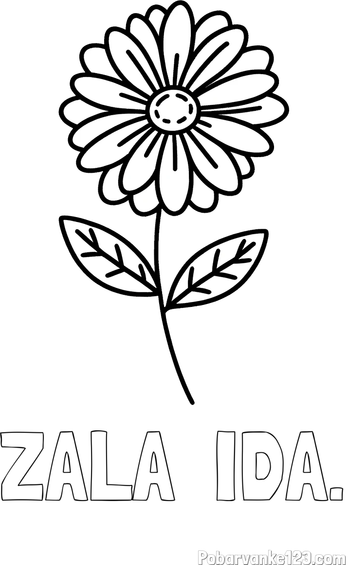 Pobarvanka imena ZALA  IDA. in pobarvanka rožice