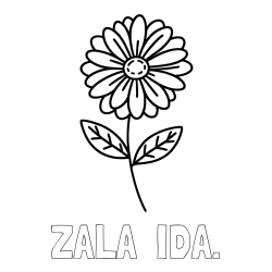 Online izdelana pobarvanka - Pobarvanka imena ZALA  IDA. in pobarvanka rožice