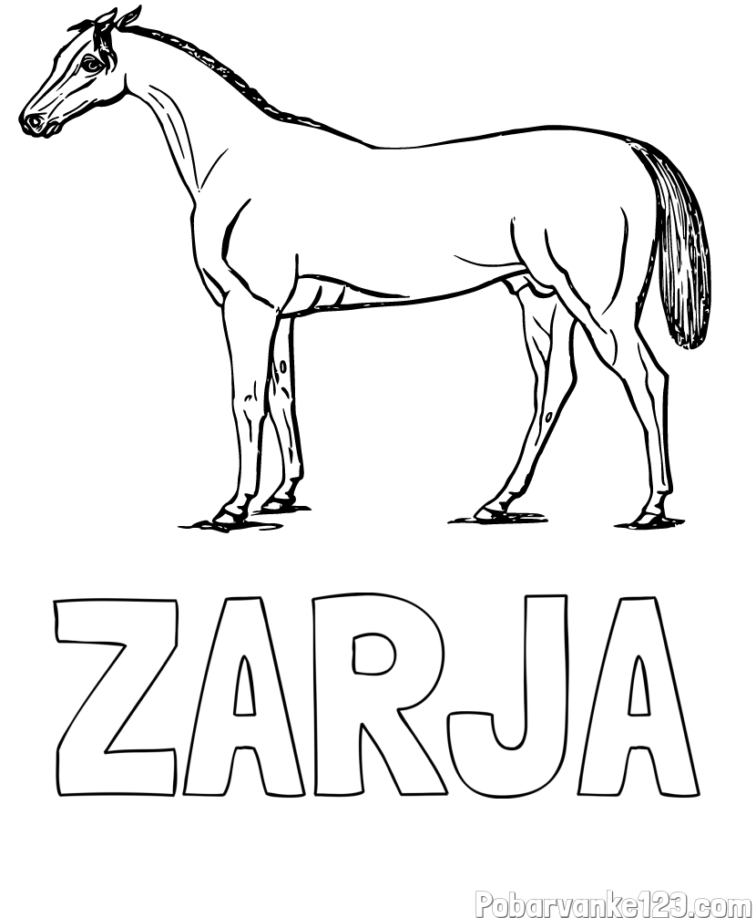 Pobarvanka imena ZARJA in pobarvanka konja