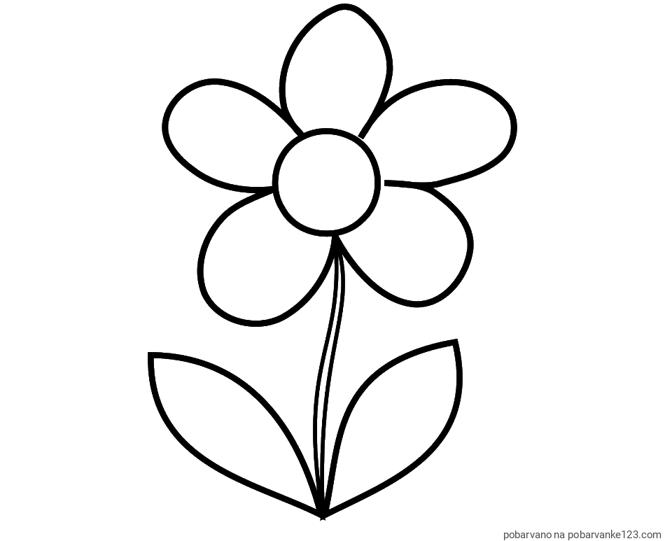 POBARVANA POBARVANKA - Otroška pobarvanka rože