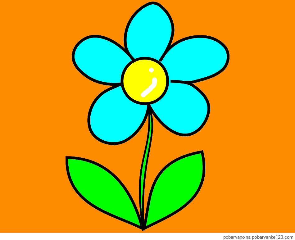 POBARVANA POBARVANKA - Otroška pobarvanka rože