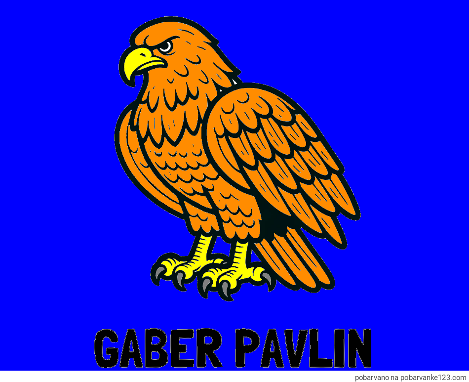 POBARVANA POBARVANKA - Pobarvanka imena GABER PAVLIN in pobarvanka orla