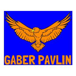 Pobarvana pobarvanka - Pobarvanka imena GABER PAVLIN in pobarvanka orla s široko razprtimi krili