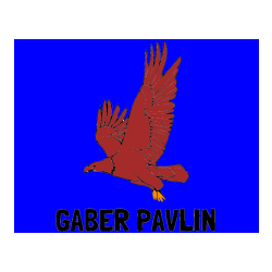 Pobarvana pobarvanka - Pobarvanka imena GABER PAVLIN in pobarvanka orla v letu