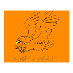 Pobarvana pobarvanka - Pobarvanka imena GABER PAVLIN in pobarvanka orla v napadu