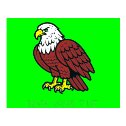 Pobarvana pobarvanka - Pobarvanka imena LOVRO  ŠEFER  7 LET in pobarvanka orla