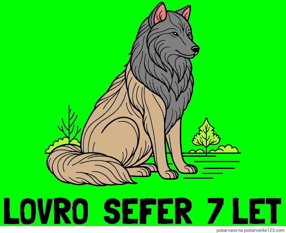 POBARVANA POBARVANKA - Pobarvanka imena LOVRO  ŠEFER  7 LET in pobarvanka sedečega volka