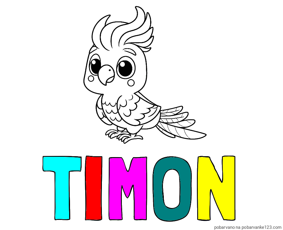 POBARVANA POBARVANKA - Pobarvanka imena TIMON in pobarvanka ljubke papige