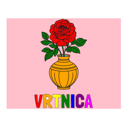 Pobarvana pobarvanka - Pobarvanka imena VRTNICA in pobarvanka vrtnice v vazi