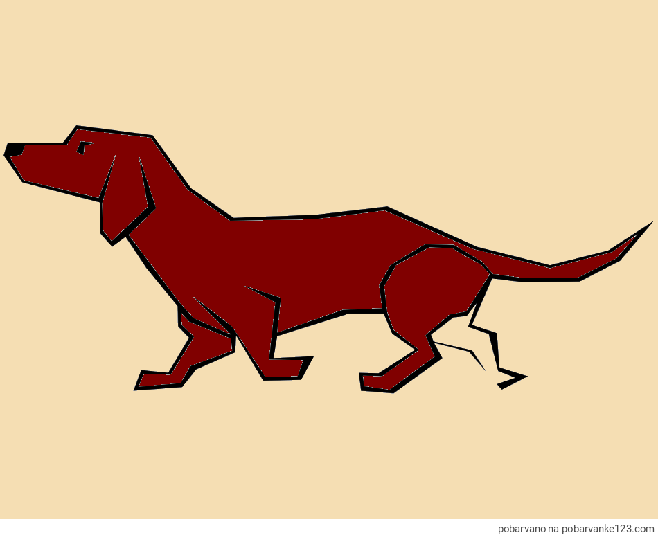 POBARVANA POBARVANKA - Pobarvanka jazbečarja